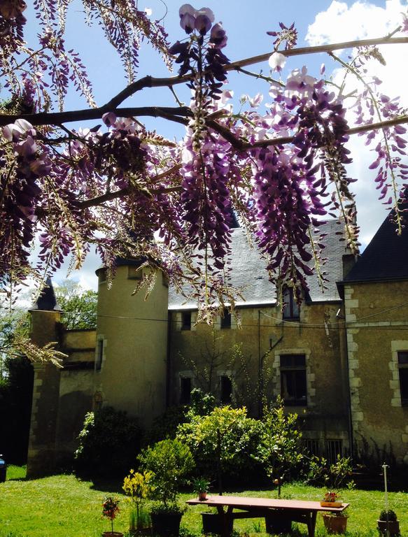 Chateau St.Gaultier Saint-Gaultier Exteriör bild